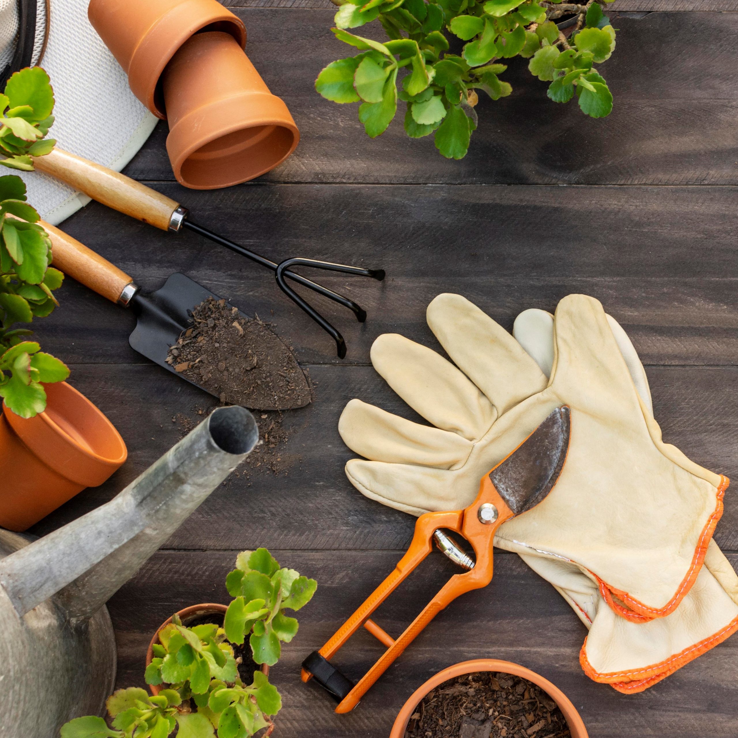 Las 8 herramientas de jardinería imprescindibles